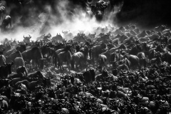 The Great migration on Mara river - 5