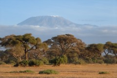 2023-Kilimangiaro-from-Amboseli-Kenya