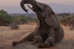 2023-Relax-Samburu-NP-Kenya-4