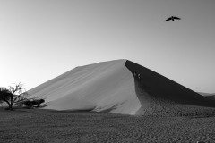 2023-Sossusvlei-dunes-Namib-desert-Namibia-04-x1080C