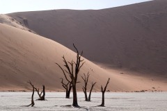 2023-Sossusvlei-dunes-Namib-desert-Namibia-05-x1080C