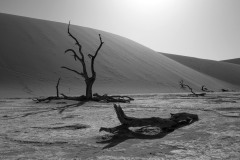 The-Dead-Vlei-in-Namibia-01