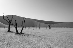 2023-The-Dead-Vlei-in-Namibia-2-x1080C