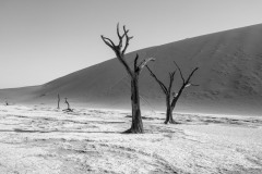 2023-The-Dead-Vlei-in-Namibia-3-x1080C