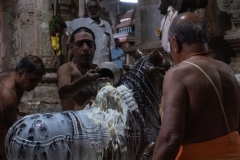 Life in the Temple of Chettiar Clanin, Chettinad