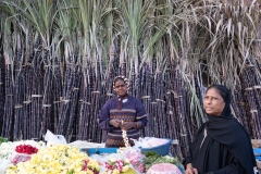 Sugar cane sale for the Pongal festival