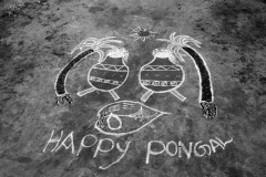 Continuing the tradition of drawing Pongal symbols on the ground, Tamil Nadu, India