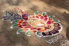 Continuing the tradition of drawing Pongal symbols on the ground, Tamil Nadu, India