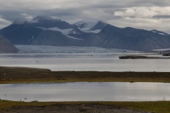 Svalbard landscape