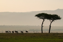 Beyond the possible gaze, Tanzania