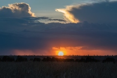 Sunset over the "Great Migration"