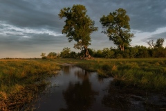 Sunset in the Okavango delta, Botswana