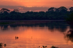 Botswana sunset