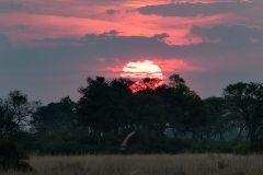 Botswana sunset