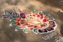 One of the endless designs for the Pongal festival that people make on the ground, almost always in front of the doorway.